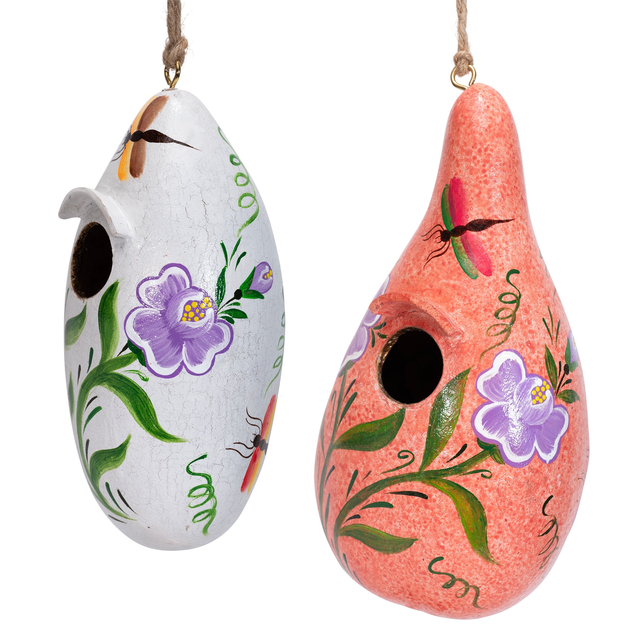 Butterfly & Dragonfly - Painted Gourd Birdhouse