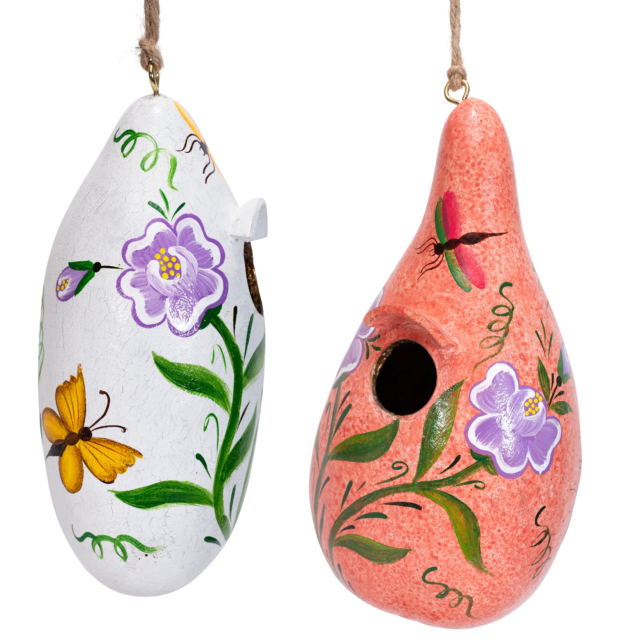 Butterfly & Dragonfly - Painted Gourd Birdhouse