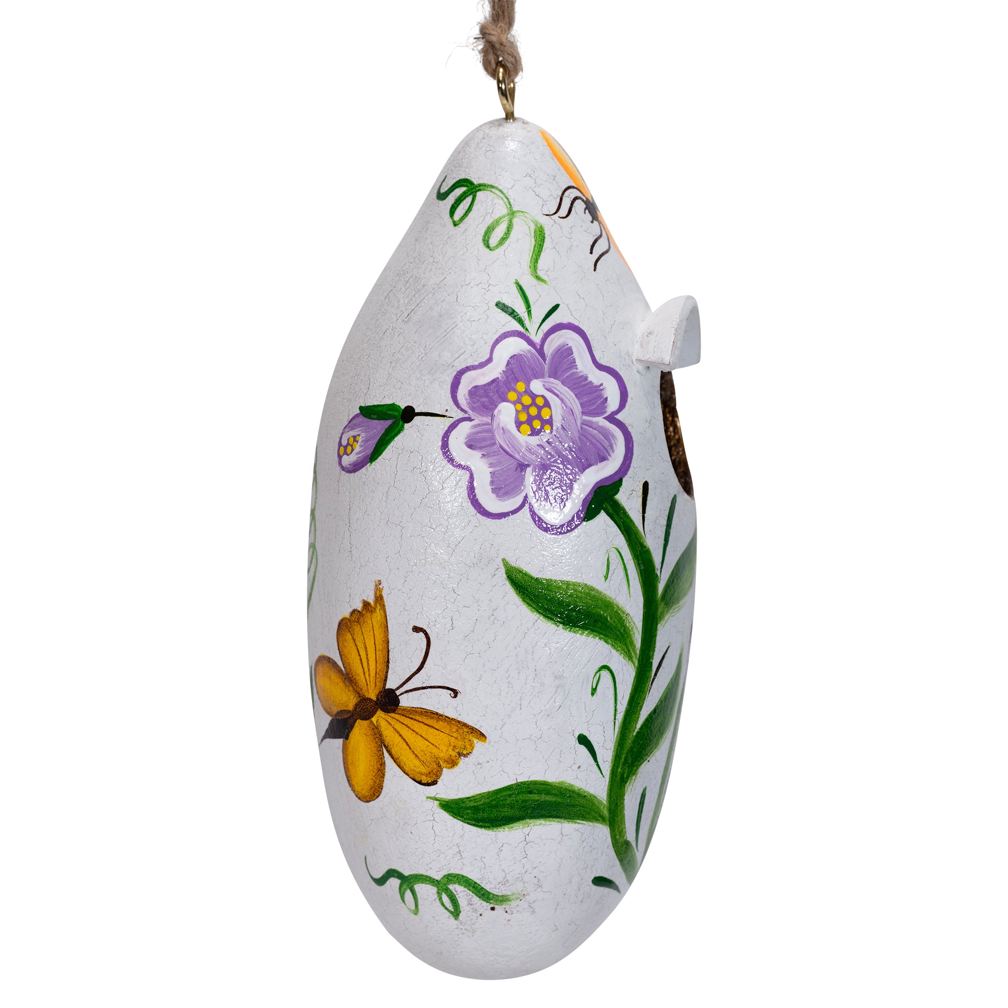 Butterfly & Dragonfly - Painted Gourd Birdhouse