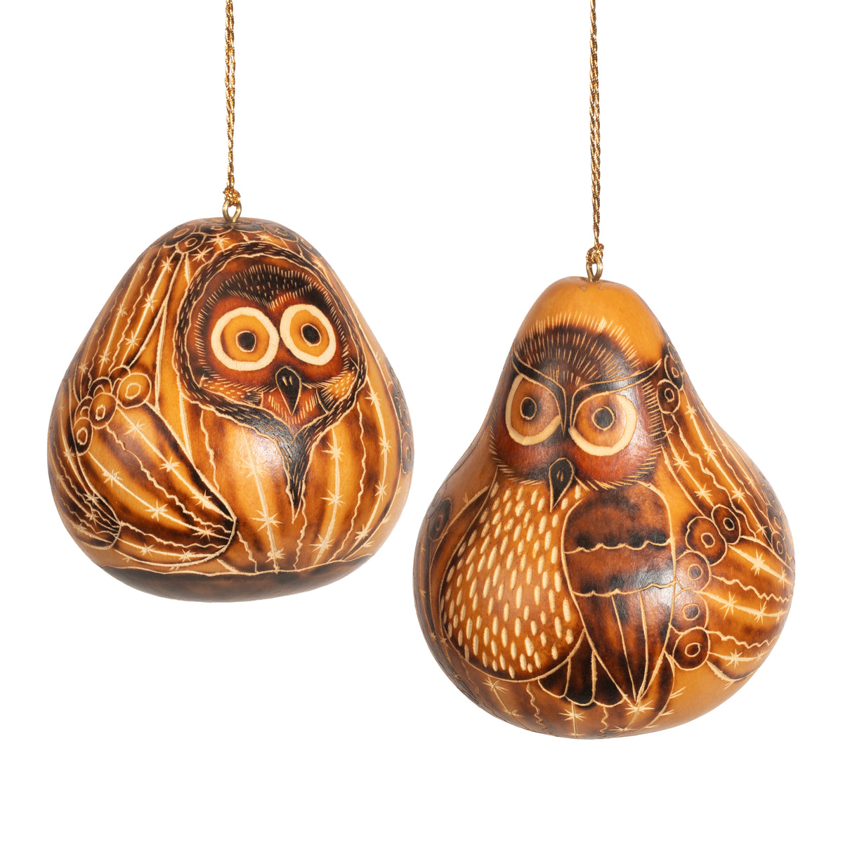 Owl in Cactus - Gourd Ornament