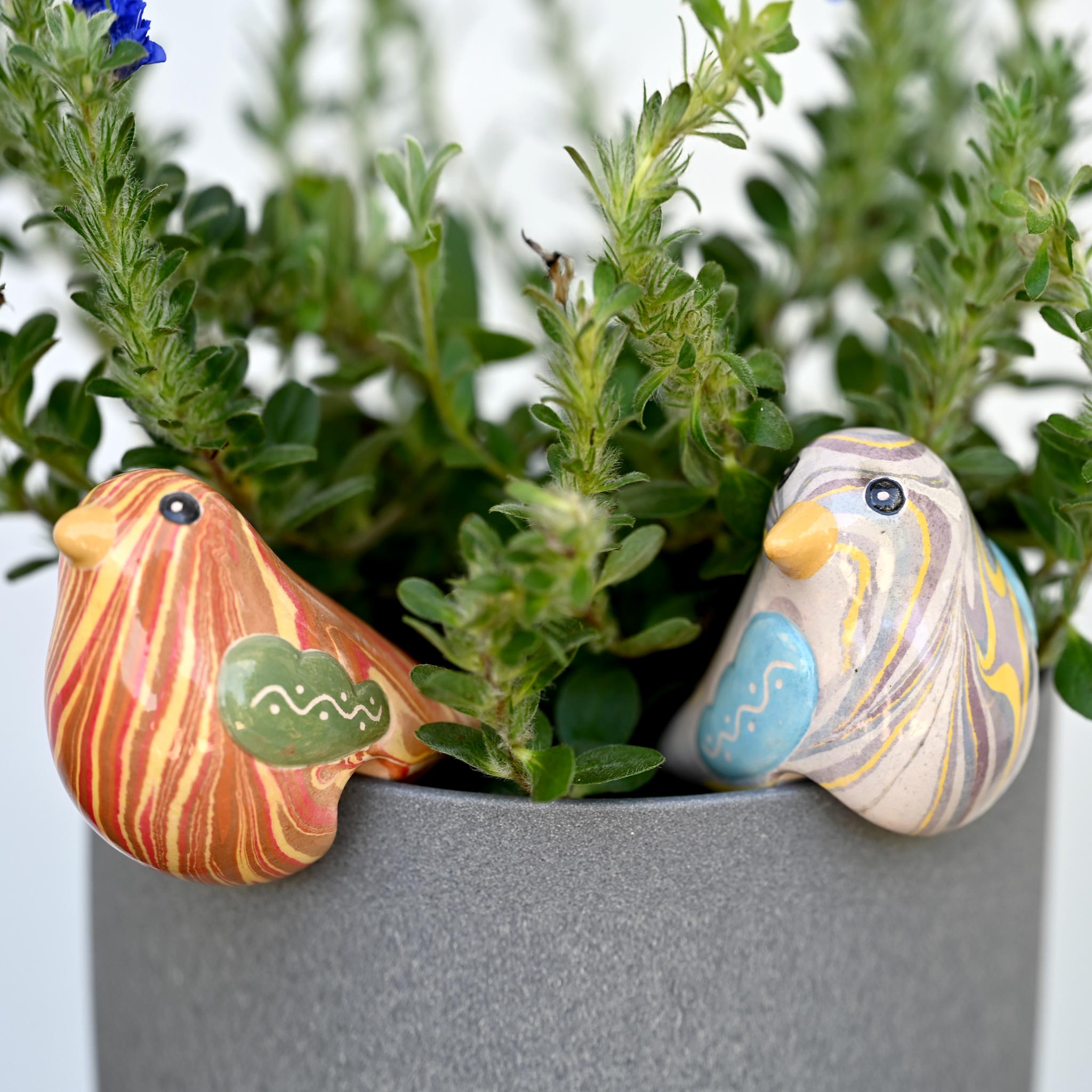 Bird - Swirled Pot Hugger