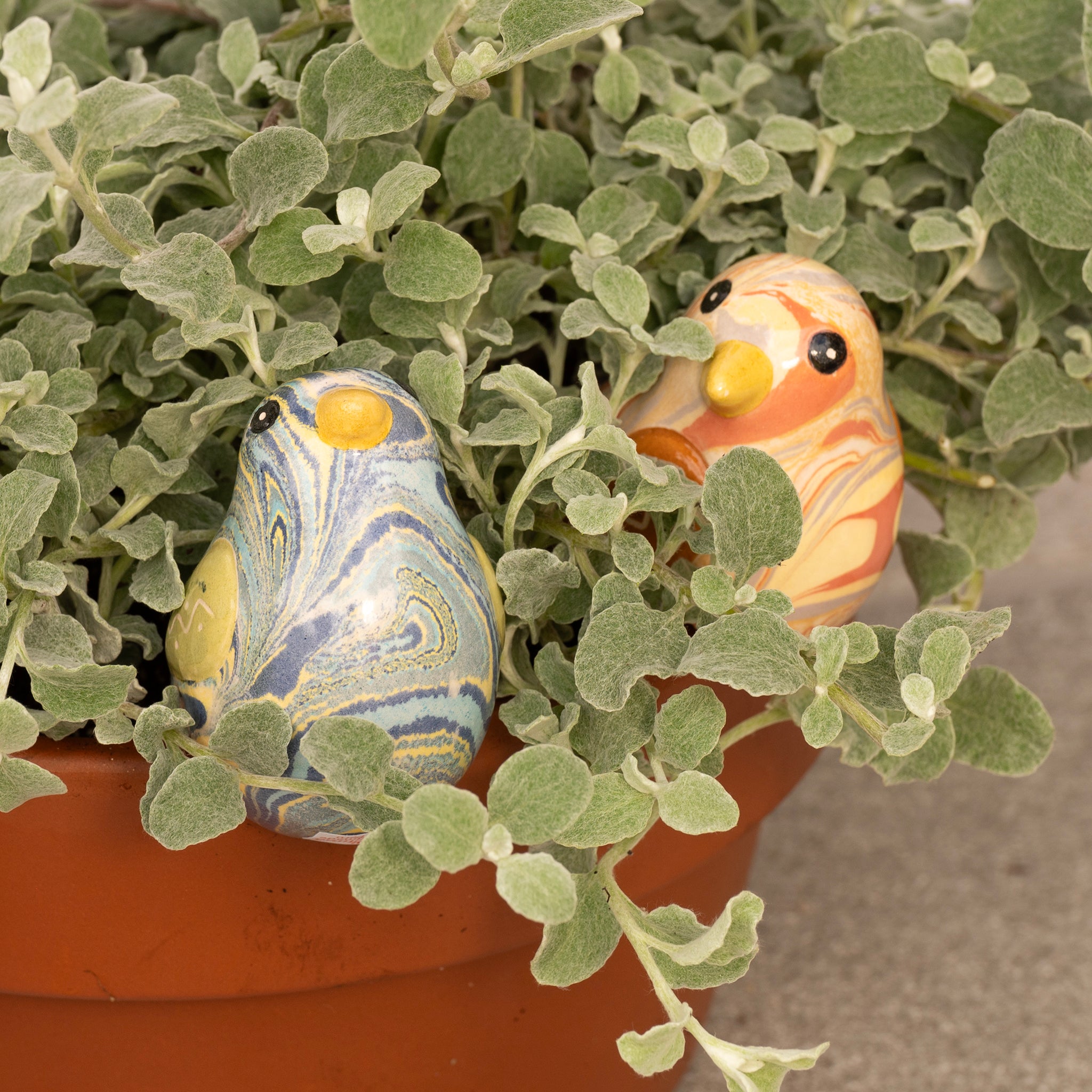 Bird - Swirled Pot Hugger