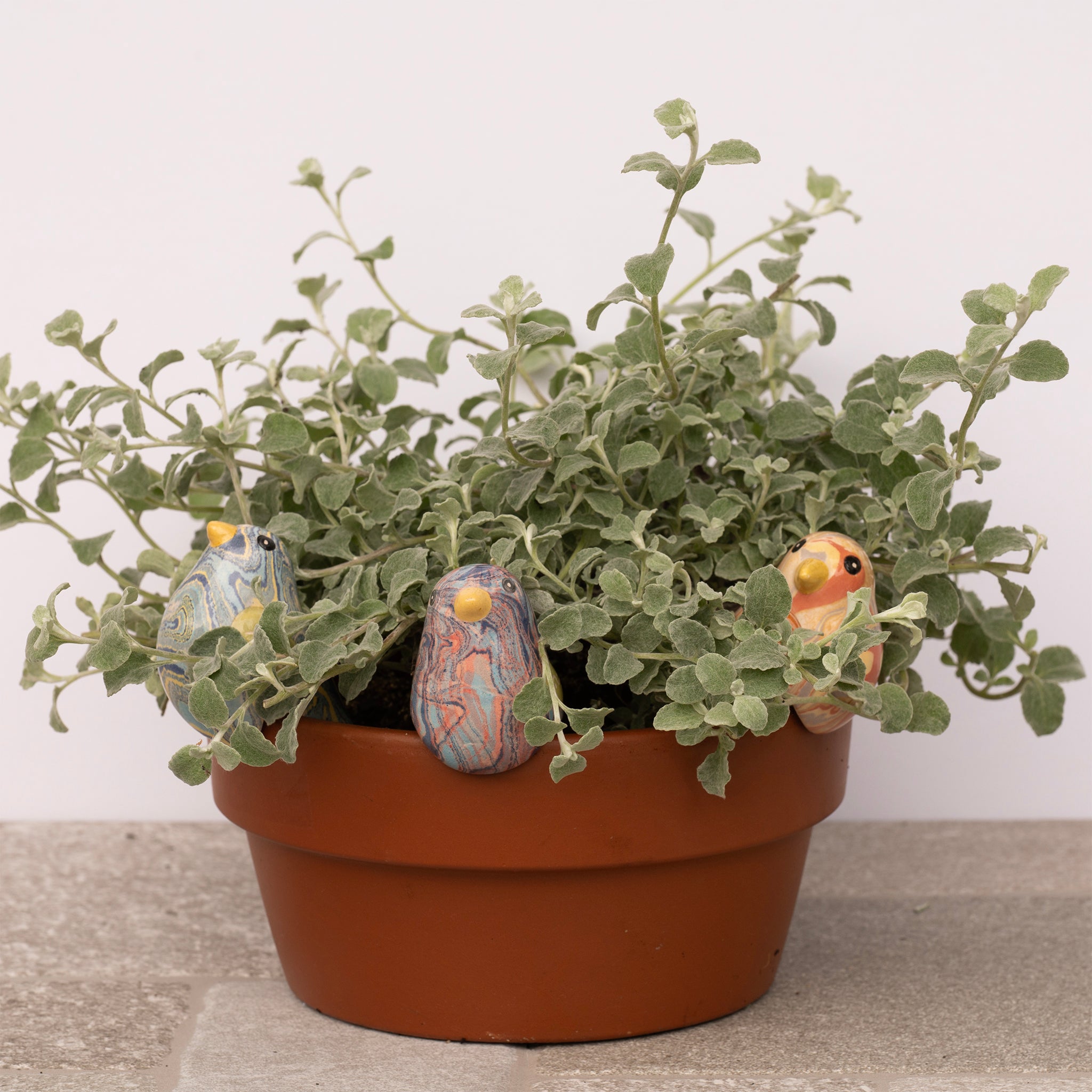 Bird - Swirled Pot Hugger