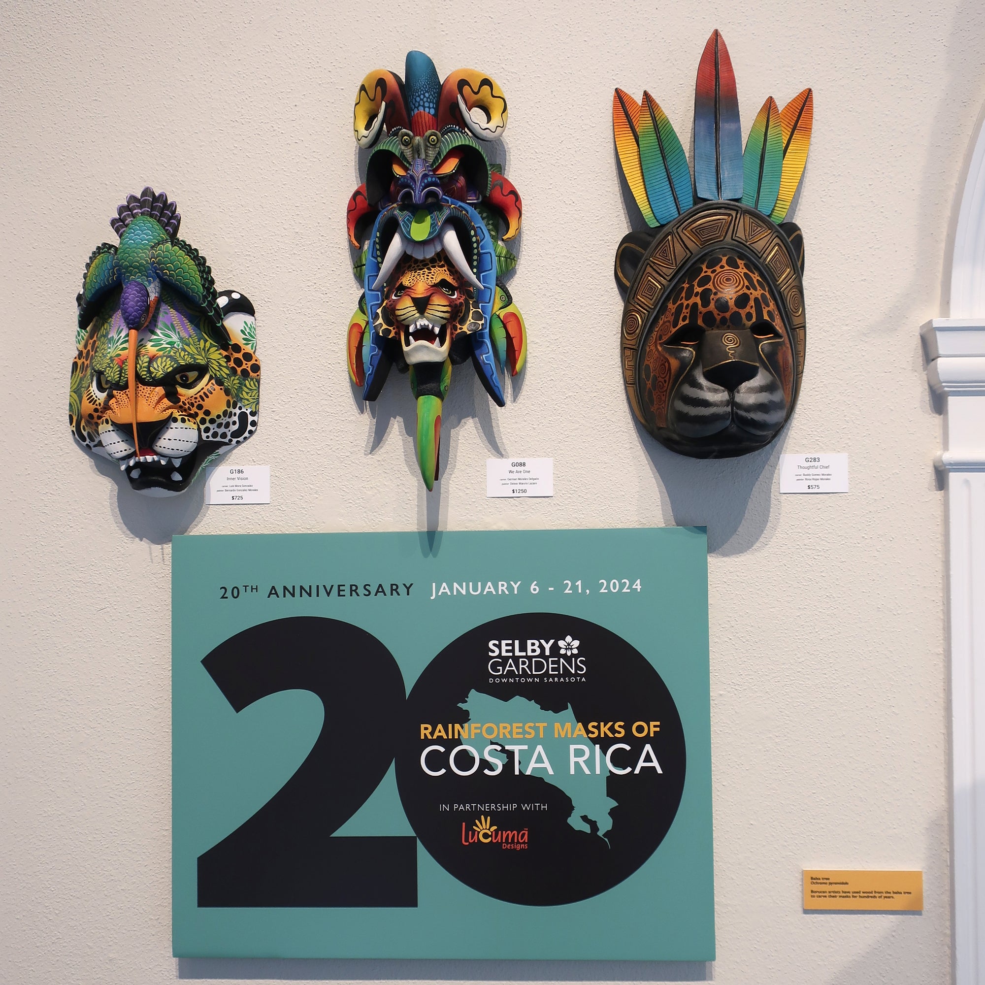 Borucan Rainforest Masks delight and touch hearts for 20 years!