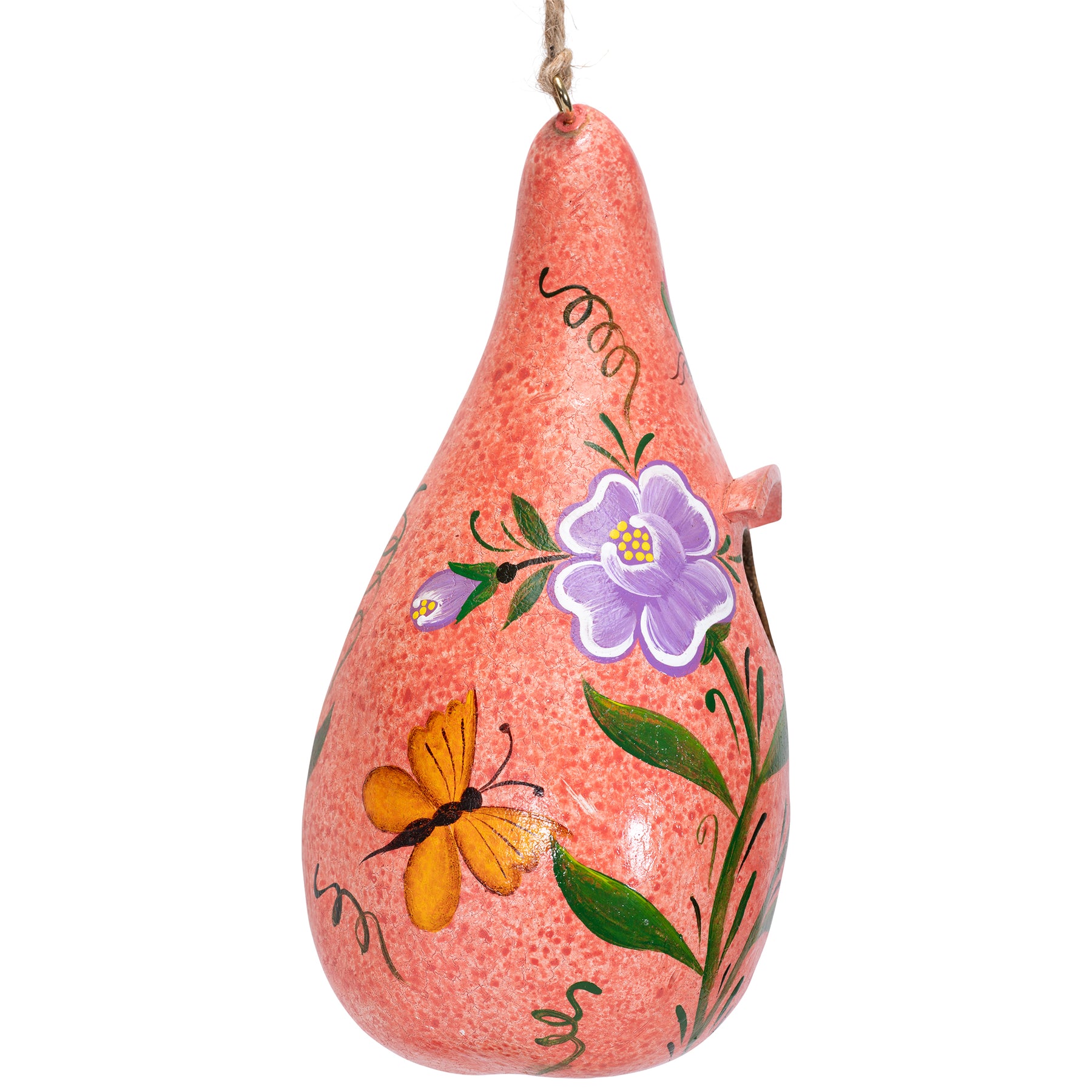 Butterfly & Dragonfly - Painted Gourd Birdhouse