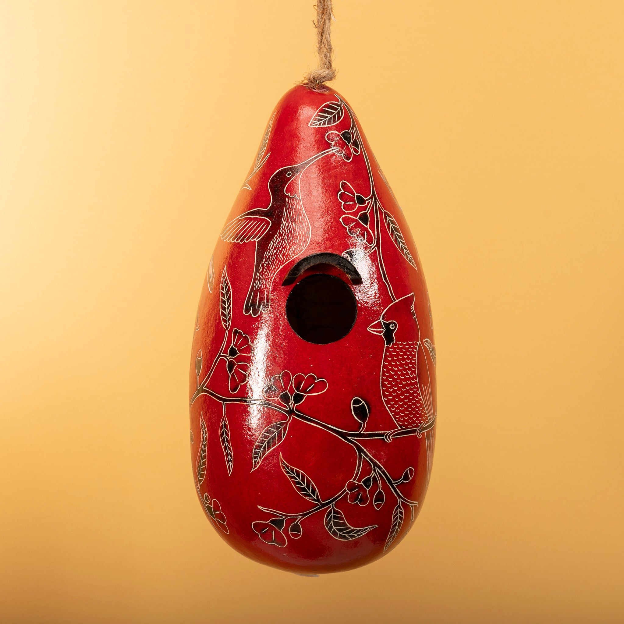 Backyard Birds - Gourd Birdhouse