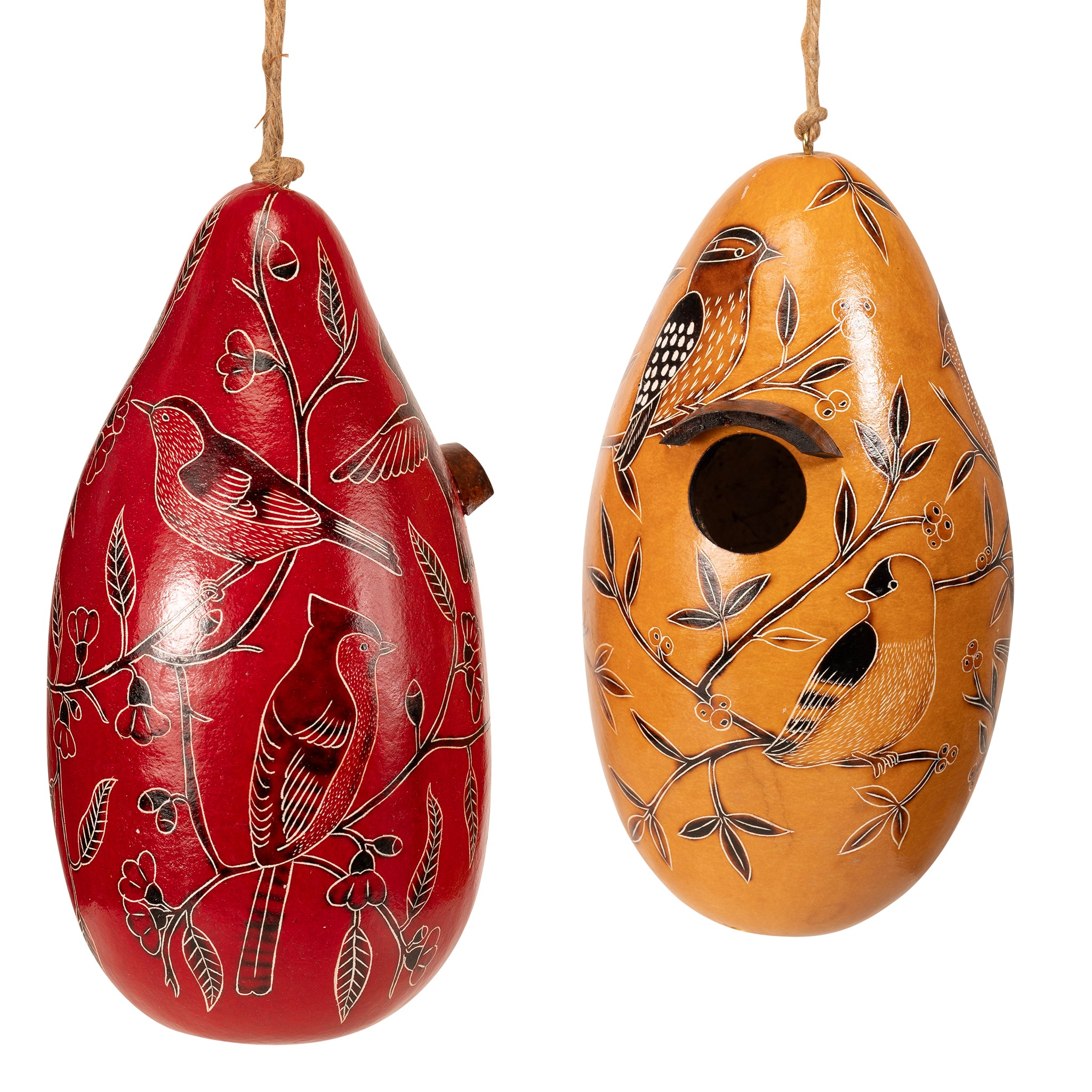 Backyard Birds - Gourd Birdhouse