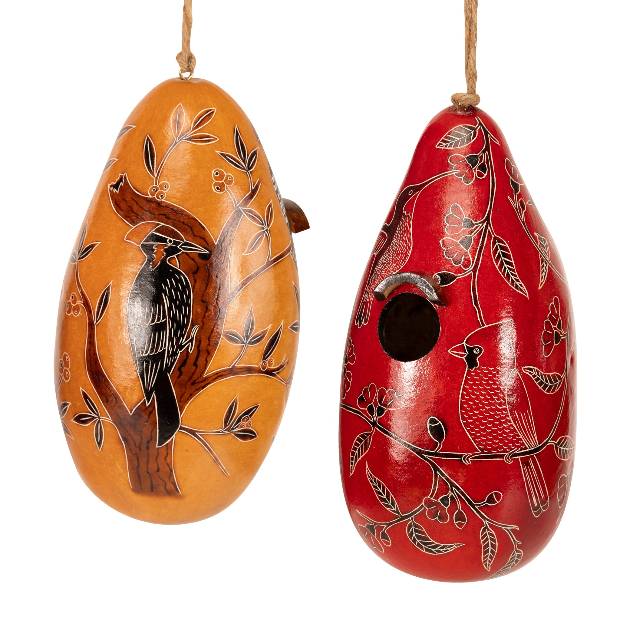 Backyard Birds - Gourd Birdhouse