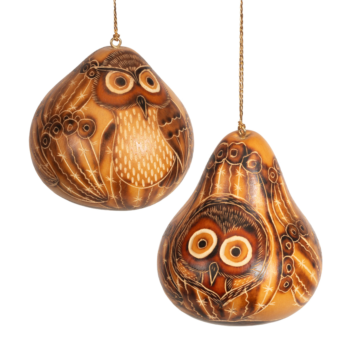 Owl in Cactus - Gourd Ornament