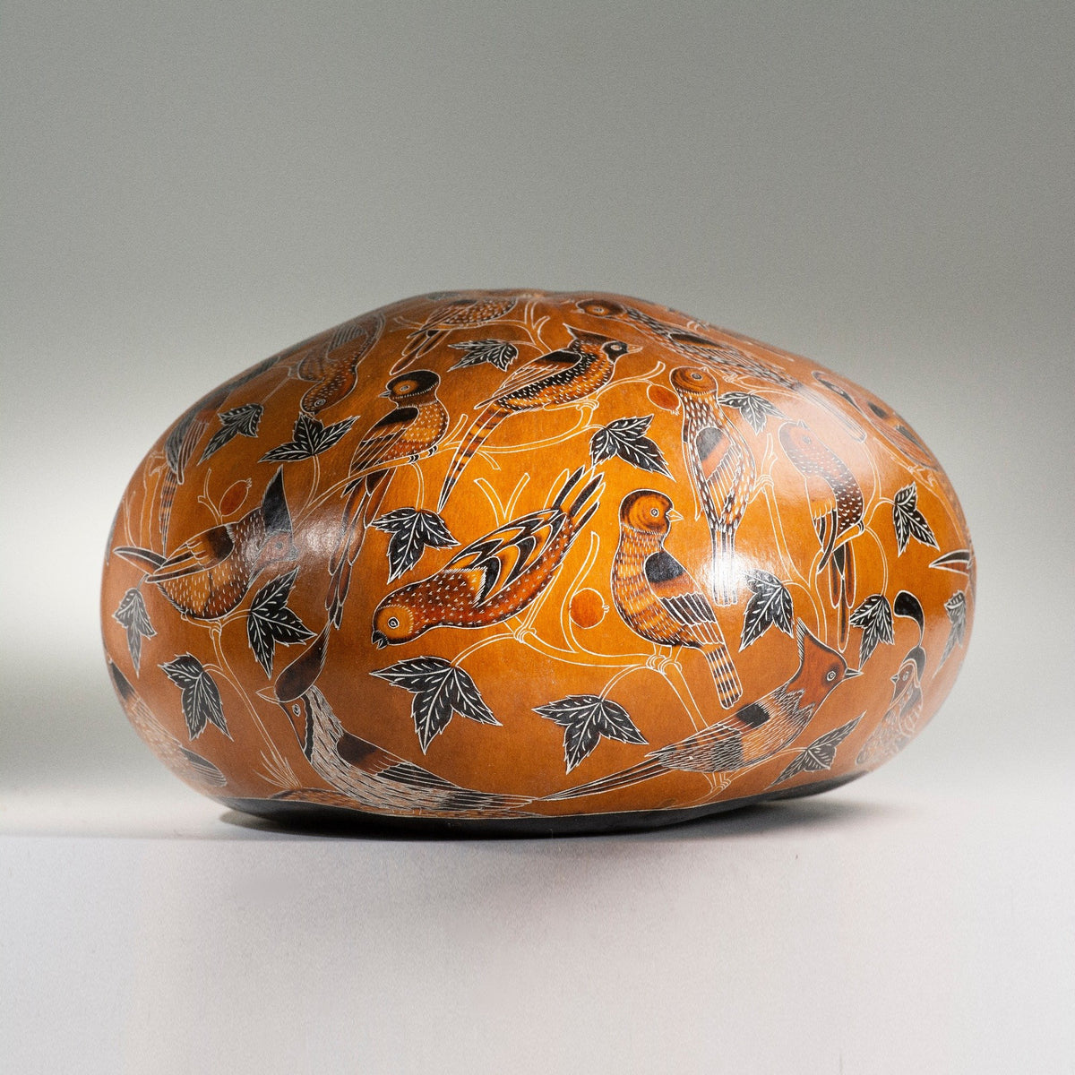 Birds of North America - finely carved gourd art