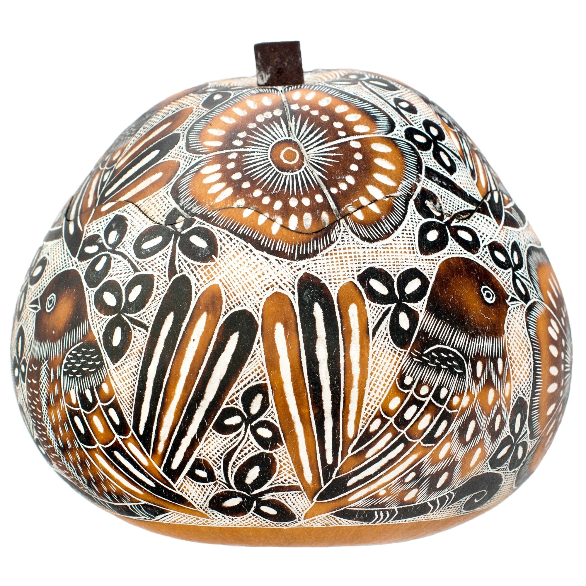 Lace Birds - Gourd Medium Box